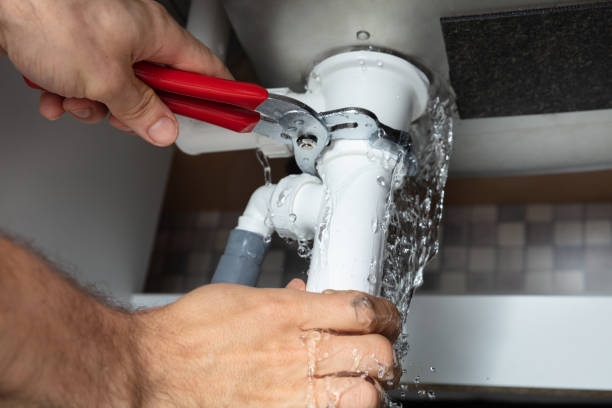 Best Carpet water damage restoration  in Belle, MO