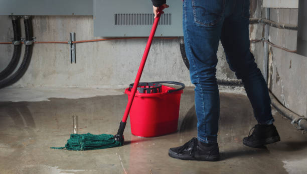 Best 24-hour water damage restoration  in Belle, MO