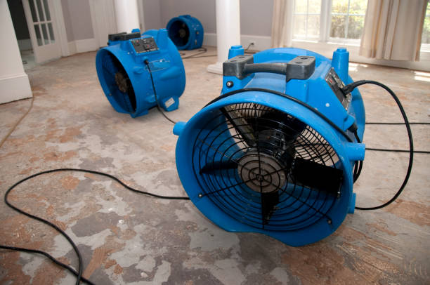  Belle, MO Water damage restoration Pros