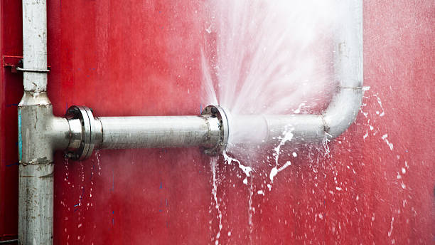 Best Flood restoration services  in Belle, MO